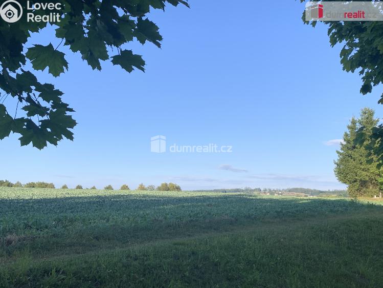 Prodej bytu 2+1 Ledeč nad Sázavou, Stínadla č. 115