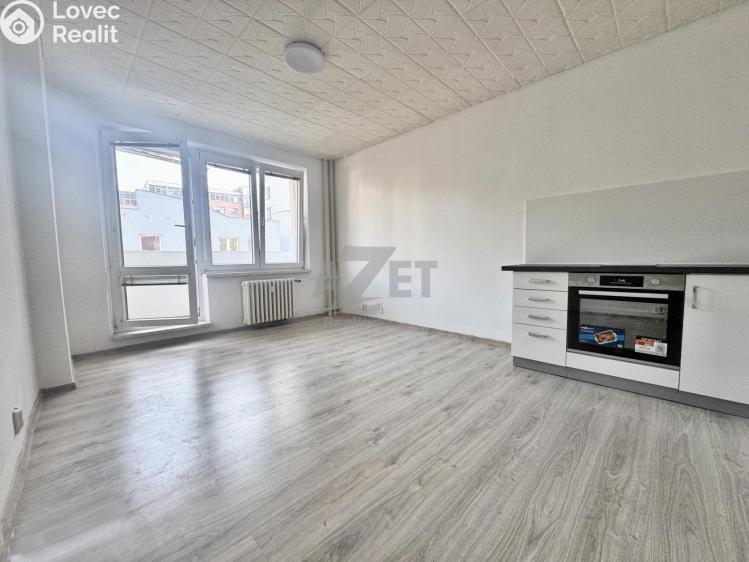 Pronájem bytu 1+KK Ostrava, Nádražní 2924/73 č. 1