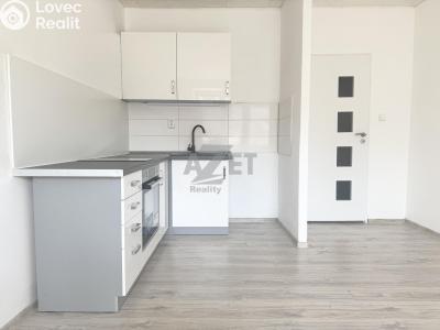 Rent apartment 1+KK Ostrava, Nádražní č. 6