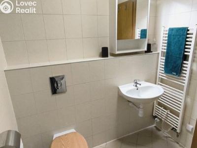 Pronájem bytu 1+KK Praha, Kališnická č. 4