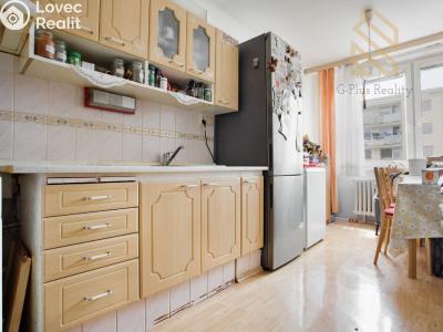 Sale apartment 3+1 Litoměřice, Na Výsluní č. 3