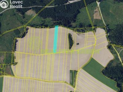 Sale farm land Doubravice nad Svitavou č. 1