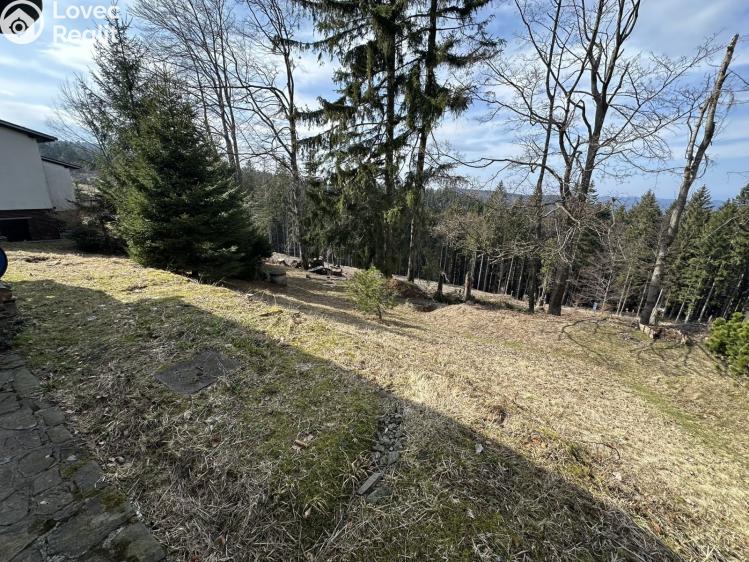 Prodej chaty Velké Karlovice č. 18