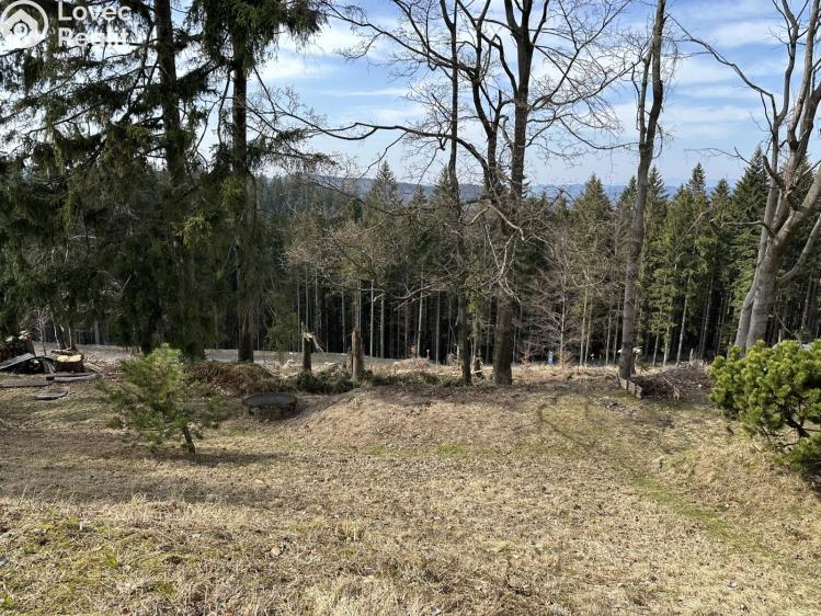 Prodej chaty Velké Karlovice č. 20