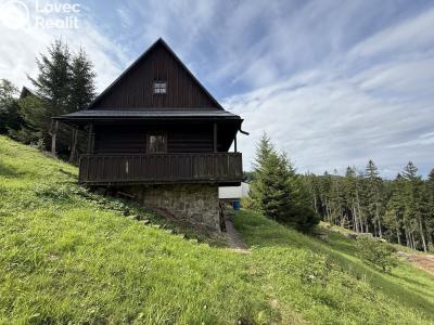 Sale hut Velké Karlovice č. 1