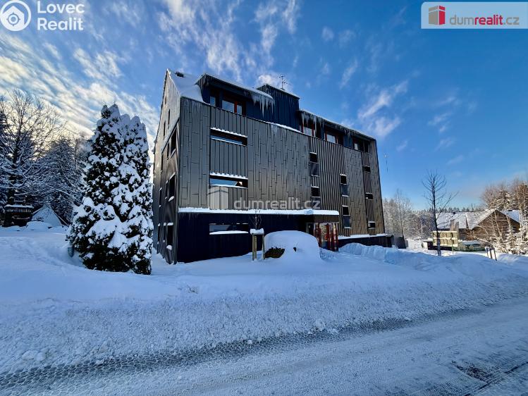 Pronájem bytu 1+1 Harrachov č. 99