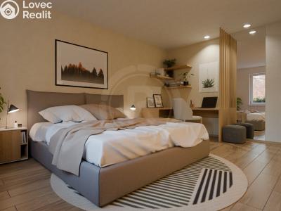 Sale apartment 1+KK České Budějovice, Šroubárenská č. 4