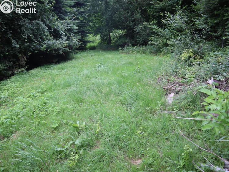 Prodej rodinného domu Vendolí č. 22