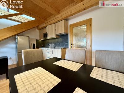 Rent apartment 3+KK Vítkovice č. 5