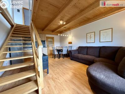 Rent apartment 3+KK Vítkovice č. 2