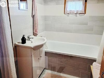 Sale hut Březina, č.ev. č. 3