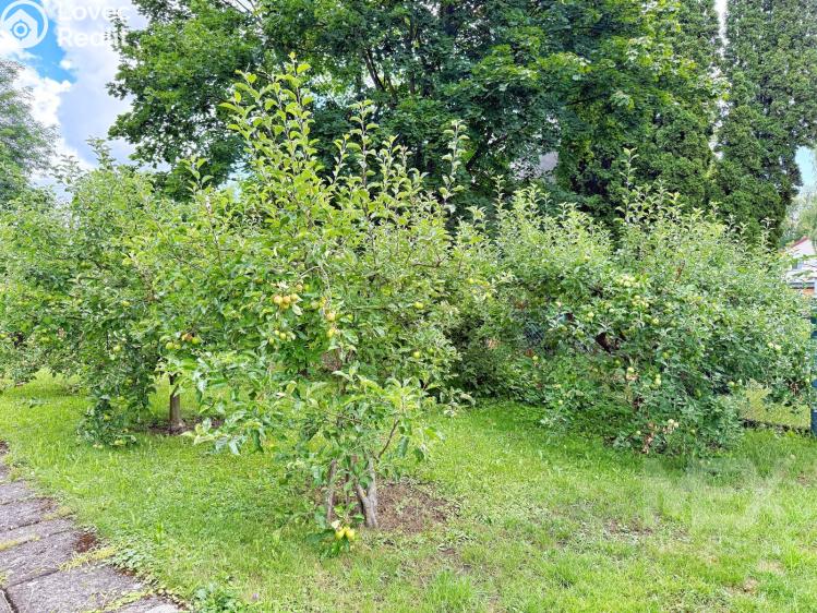 Sale apartment 2+1 Choceň, Stromovka 338 č. 14