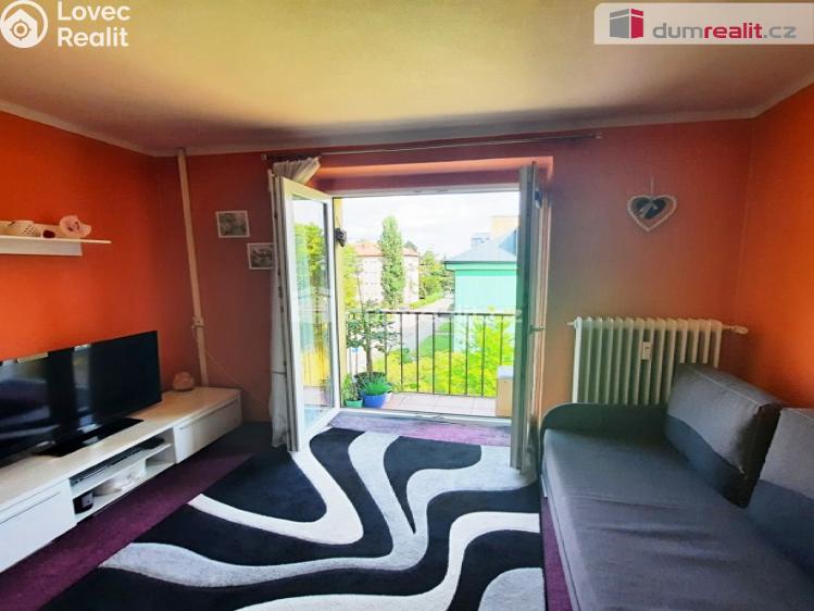 Sale apartment 2+1 Mladá Boleslav, Sadová č. 23