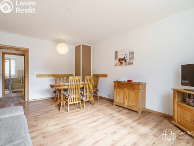 Prodej bytu 3+1 Boží Dar č. 3