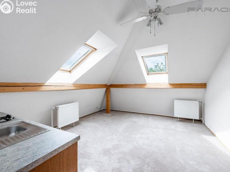 Rent villa Praha, Na Salabce č. 21