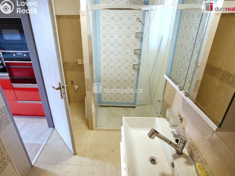 Prodej rodinného domu Dřísy, Na Obořišti č. 15