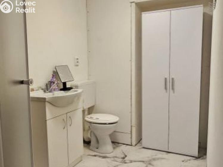 Pronájem rodinného domu Tachov, Americká č. 18