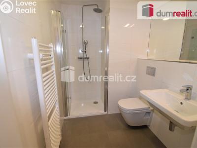 Sale apartment 1+KK Praha 2, Perucká č. 5