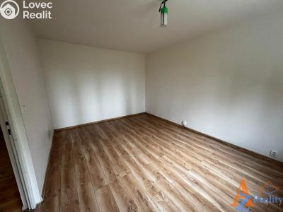 Rent apartment 1+1 Chomutov, Kyjická č. 5