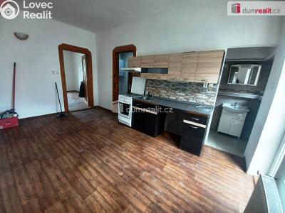 Rent apartment 1+1 Děčín, Pivovarská č. 2
