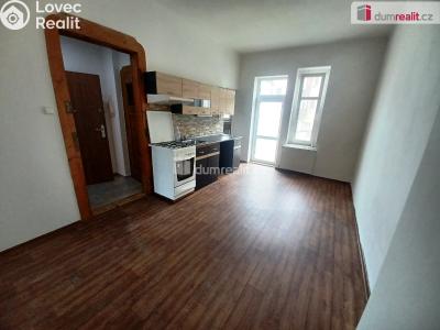 Rent apartment 1+1 Děčín, Pivovarská č. 3