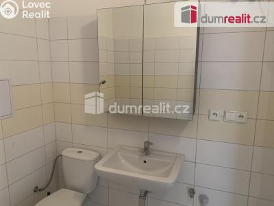 Pronájem bytu 2+KK Ústí nad Labem, Šaldova č. 6