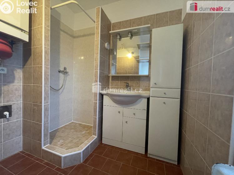 Pronájem bytu 3+1 Opava, Elišky Krásnohorské č. 10