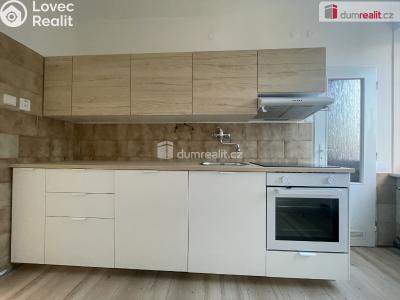 Pronájem bytu 3+1 Opava, Elišky Krásnohorské č. 4