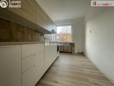 Pronájem bytu 3+1 Opava, Elišky Krásnohorské č. 5