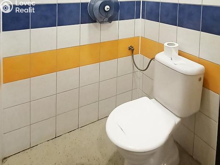 Pronájem výrobní haly Tachlovice, Na Vrškách č. 10