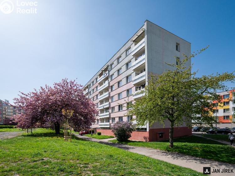 Pronájem bytu 1+1 Hradec Králové, Šantrochova 423/2 č. 11