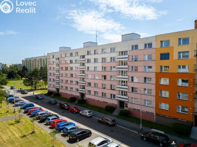 Rent apartment 1+1 Hradec Králové, Šantrochova č. 1