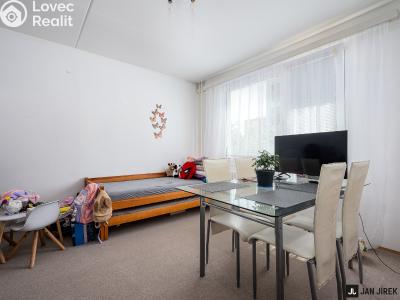 Rent apartment 1+1 Hradec Králové, Šantrochova č. 2