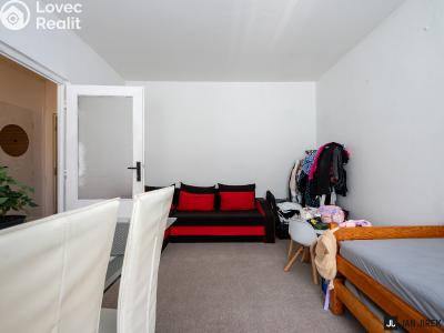 Rent apartment 1+1 Hradec Králové, Šantrochova č. 3