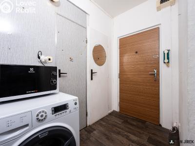Rent apartment 1+1 Hradec Králové, Šantrochova č. 6