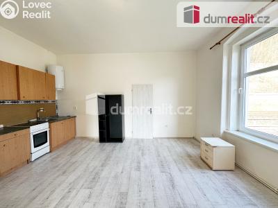 Rent apartment 1+1 Děčín, Labské nábř. č. 5