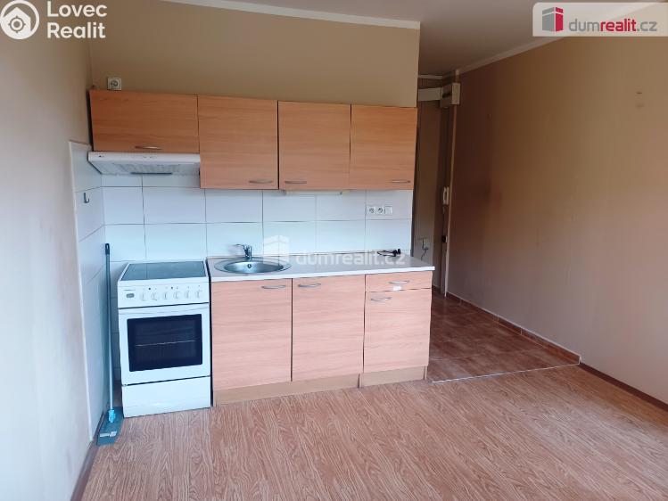 Pronájem bytu 1+1 Děčín, Na Pěšině č. 1