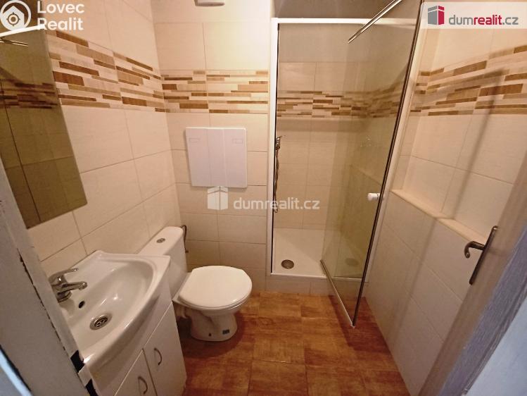 Pronájem bytu 1+1 Děčín, Na Pěšině č. 3