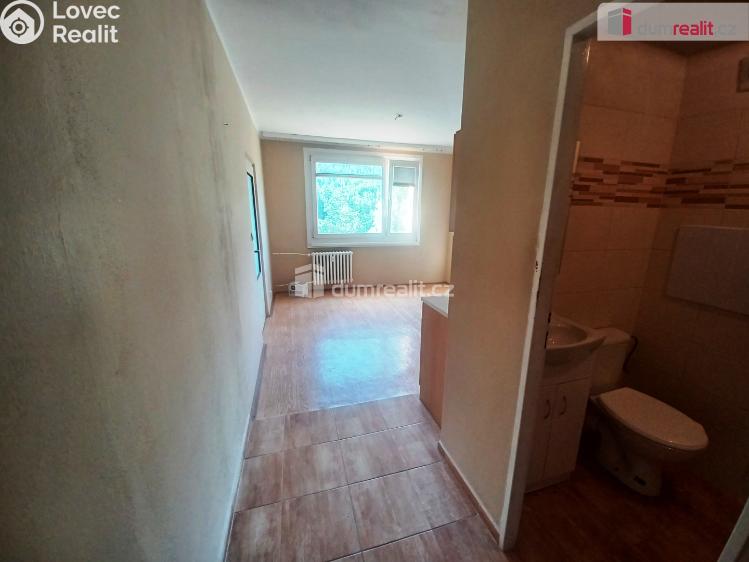 Pronájem bytu 1+1 Děčín, Na Pěšině č. 4