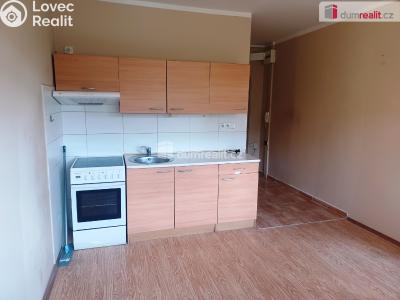 Rent apartment 1+1 Děčín, Na Pěšině č. 1