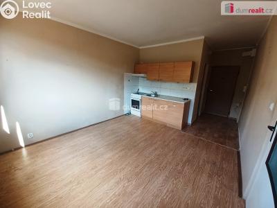 Rent apartment 1+1 Děčín, Na Pěšině č. 2