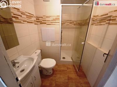 Rent apartment 1+1 Děčín, Na Pěšině č. 3