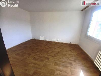 Rent apartment 1+1 Jílové, K. H. Máchy č. 2