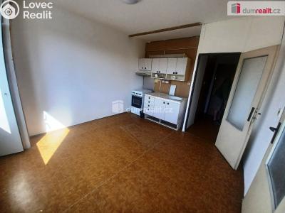 Rent apartment 1+1 Jílové, K. H. Máchy č. 3