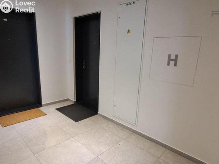 Pronájem bytu 1+KK Praha, U Viktorie č. 9