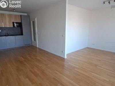 Rent apartment 1+KK Praha, U Viktorie č. 1