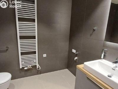 Rent apartment 1+KK Praha, U Viktorie č. 3