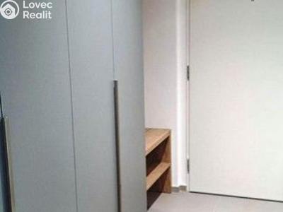 Rent apartment 1+KK Praha, U Viktorie č. 5