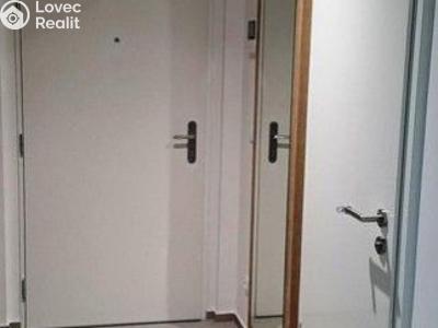 Rent apartment 1+KK Praha, U Viktorie č. 6