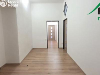 Pronájem bytu 3+1 Plzeň, Skrétova č. 6